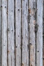 Pine logs. Log wall Texture of natural pine logs. Brown natural wood texture Royalty Free Stock Photo