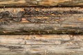 Pine logs. Log wall Texture of natural pine logs. Brown natural wood texture Royalty Free Stock Photo