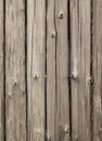 Pine logs. Log wall Texture of natural pine logs. Brown natural wood texture Royalty Free Stock Photo