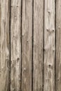 Pine logs. Log wall Texture of natural pine logs. Brown natural wood texture Royalty Free Stock Photo