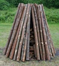 Pine logs are put in a pyramid for a traditional ritual pagan fire.