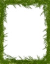 Pine Needle Tree Branch Frame