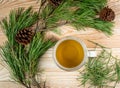 Pine Needles Tea, Healthy Winter Vitamin C Beverage