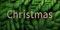 Pine needles texture with Christmas in glitter letters Royalty Free Stock Photo