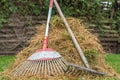 Pine needles were raked together in a heap Royalty Free Stock Photo