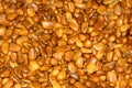 Pine nut Royalty Free Stock Photo