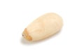 Pine nut Royalty Free Stock Photo