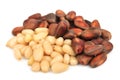 Pine nut Royalty Free Stock Photo