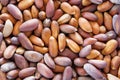 Pine Nut Background Royalty Free Stock Photo