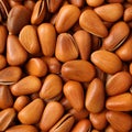 Pine nut