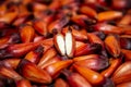 Pine nut fruits of the ParanÃ¡ pine (Auraucaria angustifolia).