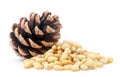 Pine nut heap and pine cone on a white background. Isolated Royalty Free Stock Photo