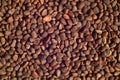 Pine nut pile close-up. Royalty Free Stock Photo