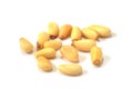 Pine nut Pinales Royalty Free Stock Photo