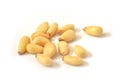 Pine nut Pinales Royalty Free Stock Photo