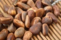 Pine nut Pinales Royalty Free Stock Photo