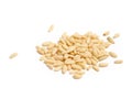 Pine nuts Royalty Free Stock Photo