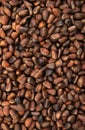 Pine nuts background. Cedar nutlets, close up Royalty Free Stock Photo