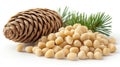 Pine nuts and pine cone Royalty Free Stock Photo