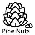 Pine nuts icon, outline style