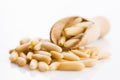 Pine nuts Royalty Free Stock Photo