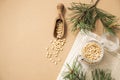 Pine nuts in a jar and wooden scoop on a yellow background with branches of pine needles. The concept of a natural, organic and Royalty Free Stock Photo