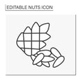 Pine nuts line icon