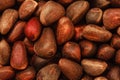Pine nuts macro photo Royalty Free Stock Photo