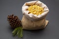 Pine nuts Royalty Free Stock Photo