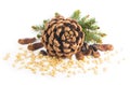 Pine nuts and ripe pine cone on a white background