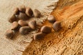 Pine nuts in a shell on a napkin on a wooden background. Royalty Free Stock Photo