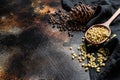 Pine nuts in the spoon and pine nut cone. Organic food. Black background. Top view. Space for text Royalty Free Stock Photo