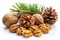 Pine Nuts and Walnuts on a White Background Royalty Free Stock Photo