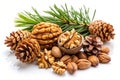 Pine Nuts and Walnuts on a White Background Royalty Free Stock Photo