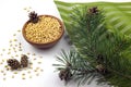 Pine nuts in wooden bowl, cedar branch and cones Royalty Free Stock Photo