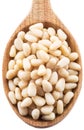 Pine nuts in the wooden spoon. White background Royalty Free Stock Photo