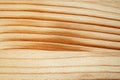 Pine plank with wood grain structure pattern macro view Royalty Free Stock Photo