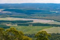 Pine plantations in Mount Macedon, Victoria, Australia