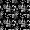 Pine seamless pattern isolated on black. Pinus sylvestris branch, cone, seed.
