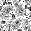 Pine seamless pattern isolated on white. Pinus sylvestris branch, cone, seed.