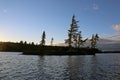 Pine Silhouettes on Algonquin Lake