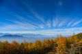 Pine and sky during the trip to Mount Fuji. Royalty Free Stock Photo