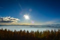 Pine and sky during the trip to Mount Fuji. Royalty Free Stock Photo