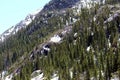 Pine and snow covered mountainside on the Glacier Gorge Trail in Rocky Mountain National Park, Colorado Royalty Free Stock Photo