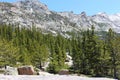 Pine and snow covered mountainside on the Glacier Gorge Trail in Rocky Mountain National Park, Colorado Royalty Free Stock Photo