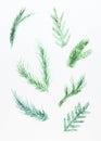 Pine, spruce, fir tree branches, winter nature clipart. A set of Christmas decorations from fir branches painted in Royalty Free Stock Photo