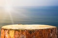 Pine stump background Baltic sea Royalty Free Stock Photo