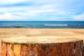 Pine stump background sea beach Royalty Free Stock Photo