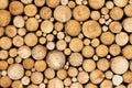 Pine timber background Royalty Free Stock Photo