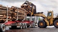 PIne timber cut for transportation and used in paper manufacturing